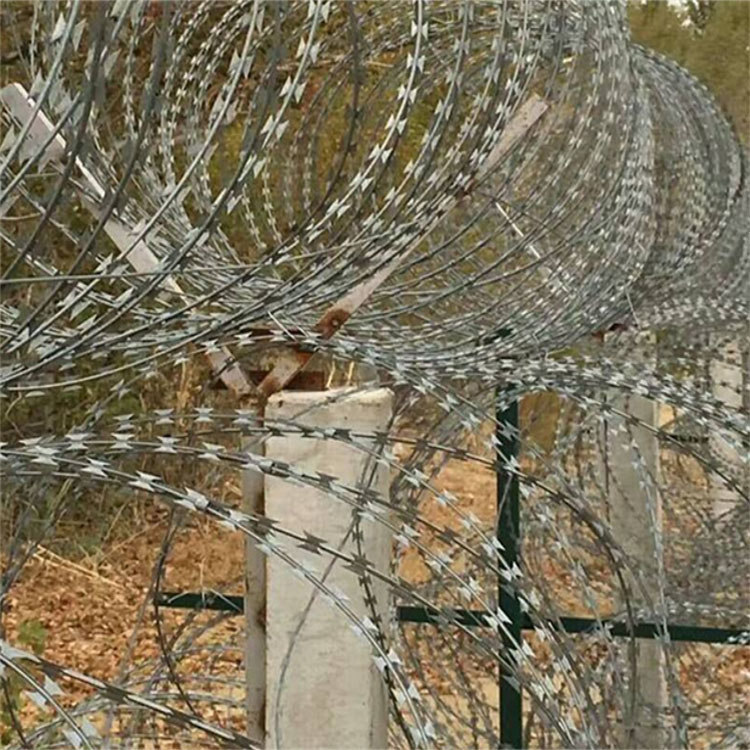 拉薩拉伸直線型刀片刺網(wǎng)已經(jīng)驗(yàn)收成功